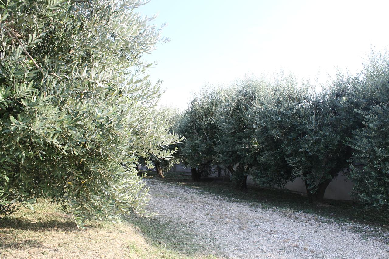 La Viola E Il Sole - Alloggi E Glamping - Fermo megye Kültér fotó